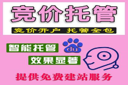 某公司SEO与SEM整合营销的全程记录